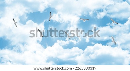 Image, Stock Photo seagulls in the cloudy sky
