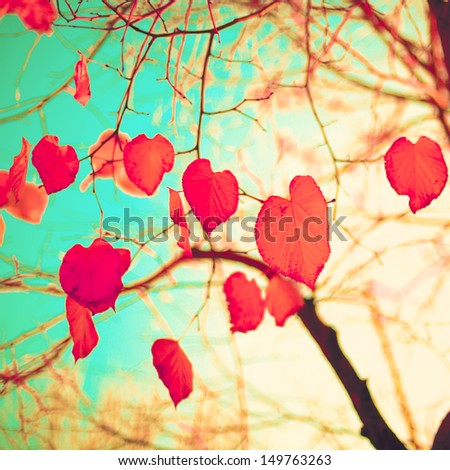 Similar – Image, Stock Photo Pink Decay pink background