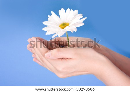 Hands holding flower