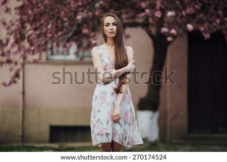 girl on the street near sakura