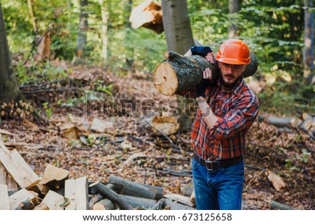free photos logger avopix com