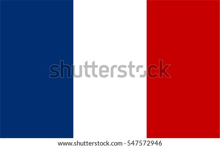 France Flag vector