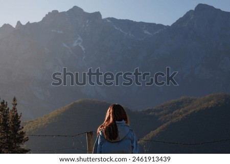 Similar – Image, Stock Photo Unrecognizable tourist admiring mountain and forest