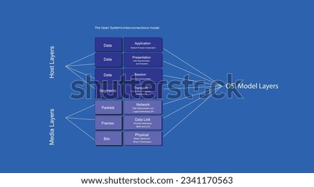 Media and host layers of OSI Model infographic vector template.