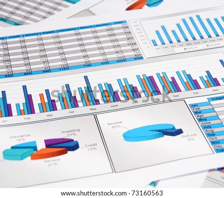 Printed Annual Report in Charts and Diagrams