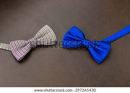 Beautifull bow tie, one bow tie, stylish bow tie