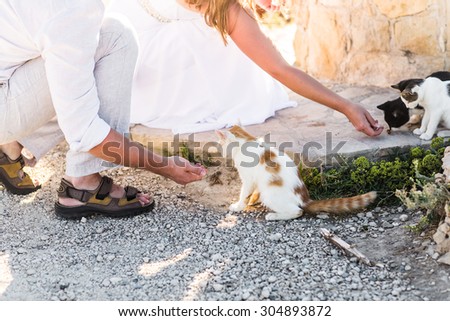 young man and woman feeding  cats in a park