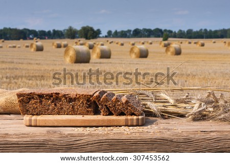 Modern agriculture - after the wheat harvest, the hay round bales are assembled by tractors with forks to be loaded on trucks. Vintage rural landscape.