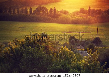 rural landscape with field and trees in warm sun ligh