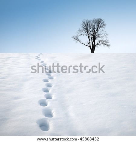 Footprints in deep snow and a tree on horizon. Winter landscape