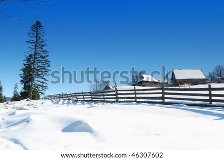 Hedge and wooden rural house.