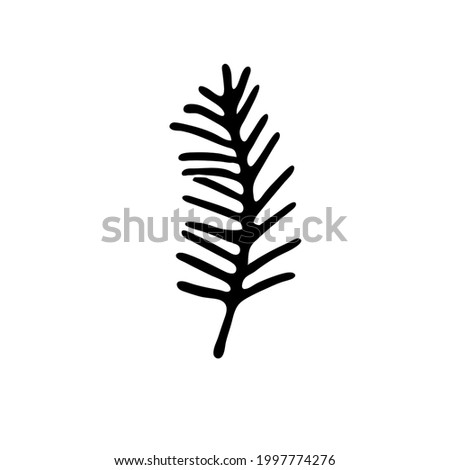 Tree branch with narrow leaves like willow or bush. Outline hand drawn sketch on white background. Minimalist doodle style. Isolated vector twig illustration, single element for natural floral design. ストックフォト © 