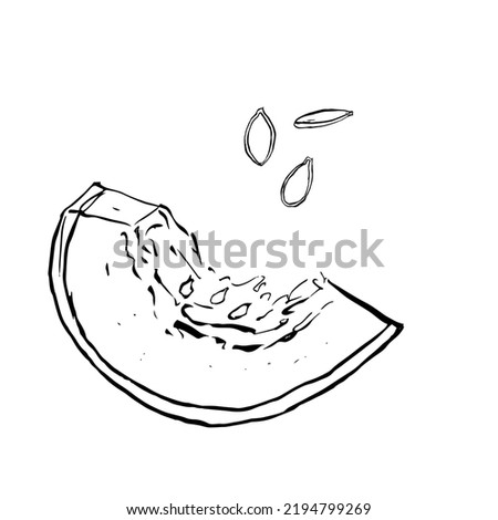 Sketch pumpkin piece cut off with seeds, isolated vector on a white background.