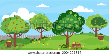 Apple garden. Summer orchard with apple trees. Green, red, yellow apples. Apple harvest, baskets with fruits. Vector illustration, flat style. 
