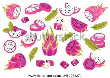 Set of dragon fruits isolated on white background. Fresh exotic Pitahaya in peel, cut into circles, small cubes and slices. Sweet tropical pitaya fruit.  Vector illustration