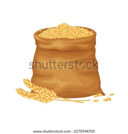 A bag of wheat. A bag filled with wheat grains. Ears of wheat near a bag of grain. Vector illustration isolated on a white background