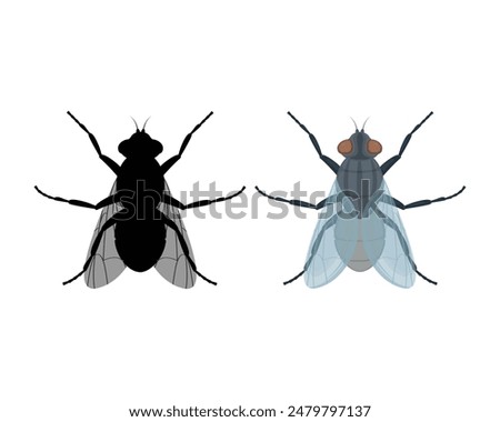 Fly. A cartoon-style image of a fly. The silhouette of a fly. The fly is a view from above. Flying insect, vector illustration