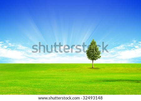 Futuristic landscape with grass and clouds and tree
