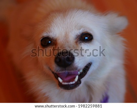 Shutterstock Puzzlepix Shutterstock Puzzlepix