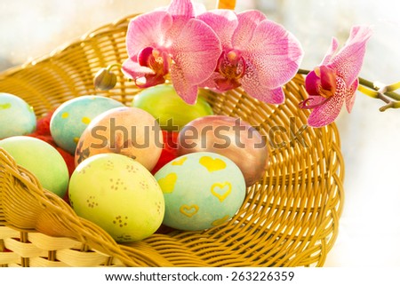 Easter eggs in a basket,  flowering Orchid, close, sunrise