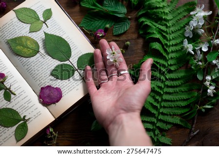 floral mix of fresh cutted, pressed and dried spring flowers and leafs all decorated in rustic style on dark wood background with female hand arranging all soft focus overhead-angle shot