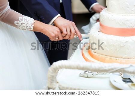 happy bride and groom cut a wedding cake