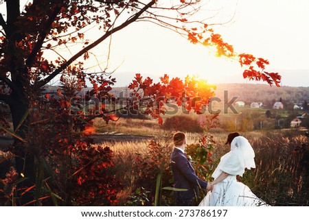 bride and groom walking kissing near trees sunset rise autumn