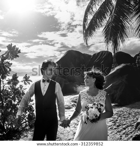 elegant gorgeous bride and groom walking under palms on the background of the ocean and beach, wedding ceremony in Seychelles