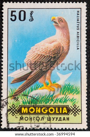 ULAANBAATAR, MONGOLIA - 1971: Postal stamp Mongolia. Postal vintage stamp depicting Melieria mongolica, circa 1971.