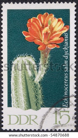 Deutsche Demokratische Republik - East Berlin, 1971: Postal stamp DDR 1971. Vintage stamp depicting Echinocereus, cylindrical cacti.