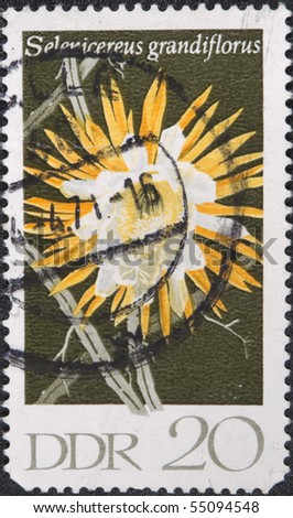 Deutsche Demokratische Republik - East Berlin, 1971: Postal stamp DDR 1971. Vintage stamp depicting Selenicereus grandiflorus is a cactus species.