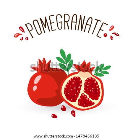 Pomegranate Hand drawn Vector illustration. Pomegranate whole fruit and half sliced. 