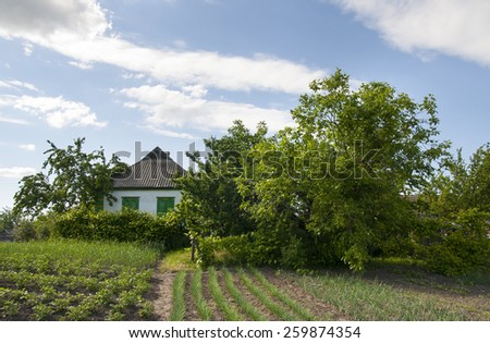 Traditional cottage house with a garden in central region of Ukraine