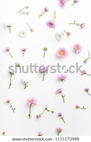 Similar – Image, Stock Photo Floral arrangments of tender ranunculus flowers