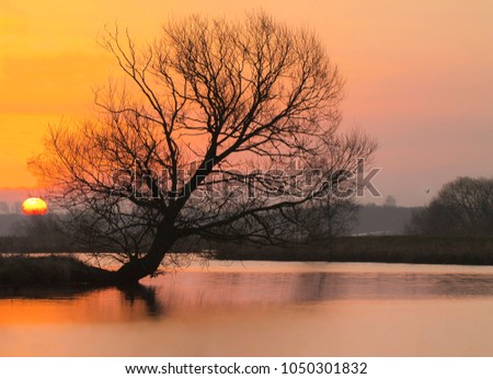 Similar – Image, Stock Photo Sunrise in the Teufelsmoor at the Hammerbrücke in Osterholz-Scharmbeck near Bremen