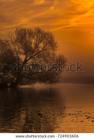 Similar – Image, Stock Photo Sunrise in the Teufelsmoor at the Hammerbrücke in Osterholz-Scharmbeck near Bremen