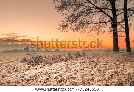 Similar – Image, Stock Photo Sunrise in the Teufelsmoor at the Hammerbrücke in Osterholz-Scharmbeck near Bremen