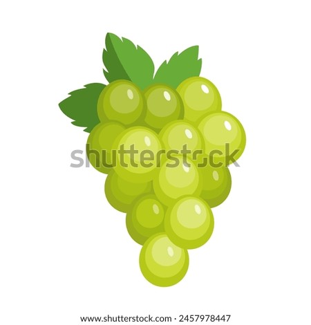 Vector white grape icon, illustration of green fruit with leaf isolated of white background, wine grape bunch logo symbol in flat cartoon style