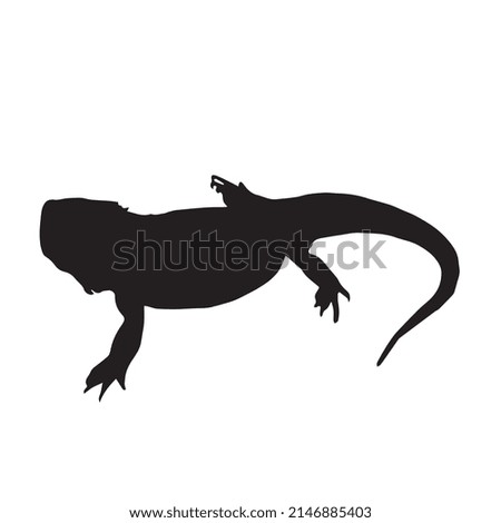 Vector illustration of lizard silhouette