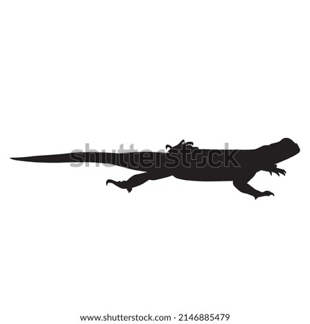 Vector illustration of lizard silhouette