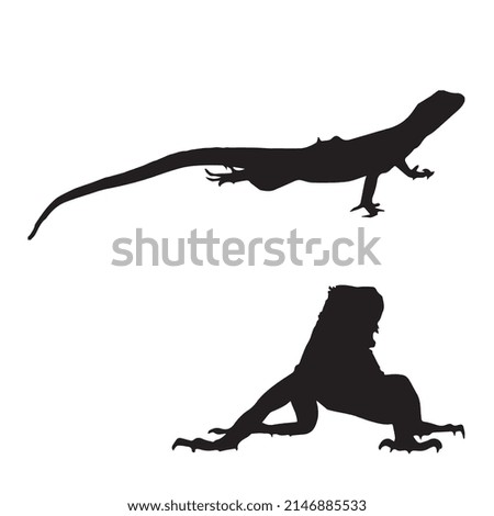 Vector illustration of lizard silhouette