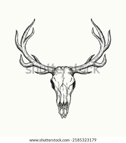 Drawings Of Deer Skulls | Free download on ClipArtMag