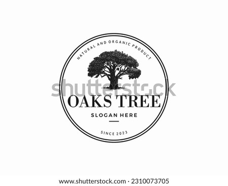 Vintage Retro Oak, Maple Tree Service Logo Design, vector logo design tamplate stock illustration Oak tree, Vector, Logo, Illustration stock illustration