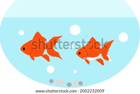 Illustration of a goldfish swimming in a goldfish bowl