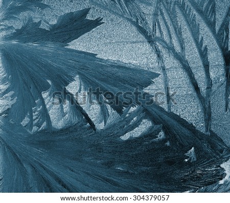 frost pattern on a windowpane closeup, x-ray effect