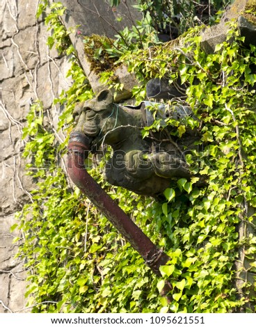 Similar – Image, Stock Photo Monstrous wall covering