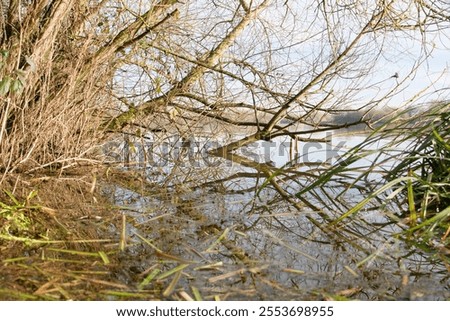 Similar – Image, Stock Photo flotsam Environment Water