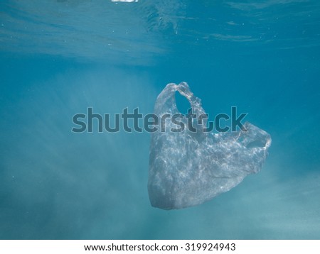 A plastic bag in the ocean.