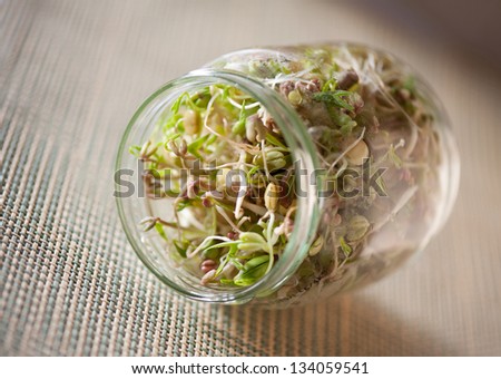 Mix of cereal shoots growing in glass jar lying on side on mat, domestic horticulture of healthy plants and grains, detail of jar in horizontal orientation, nobody.