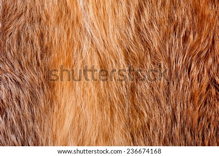 Red fox fur cloth pelt texture abstract, furry rusty textured plain surface, rough pelt background in horizontal orientation